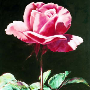 Valentine Rose 2 by Gerrit Greve, Image 1.