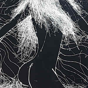 Seasons, Spring by Gerrit Greve, Image 1.