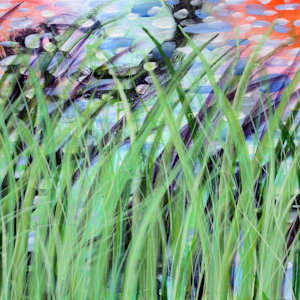 SESSA-IMG_8634 by Gerrit Greve