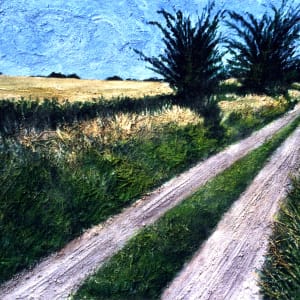 Meadowlawn Road: Afternoon by Gerrit Greve 