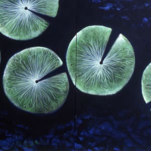 Water Lillies 13 by Gerrit Greve
