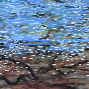 Wonder Beneath the Surface 1 by Gerrit Greve