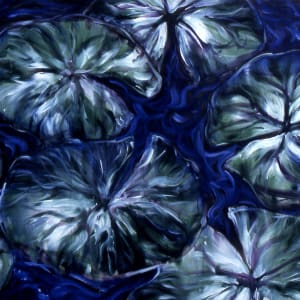 Water Lillies 07 by Gerrit Greve