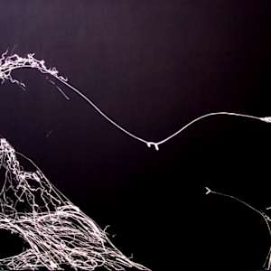Reclining Mode by Gerrit Greve, Image 1.