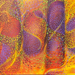 Sacred Passages by Gerrit Greve