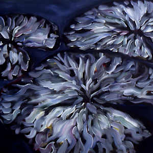 Water Lillies 11 by Gerrit Greve