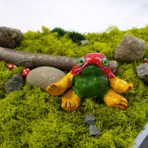 The Dalai Frogga by Joshua Benschop