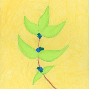 Untitled (berry branch) by Mary Wright