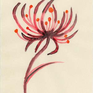 Flower by Eva Marie Barton