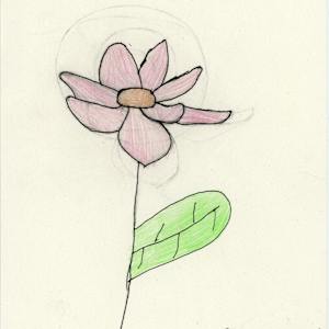 Untitled (pink flower) by Sara Lind