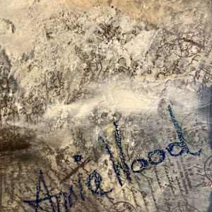The Vase of Wry Reflections by Annie Wood 