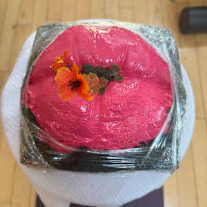 Blooms Breaks Through Anyway by Annie Wood