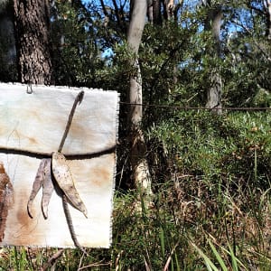 Forgotten by Julie-Anne Rogers  Image: Back in the landscape 2