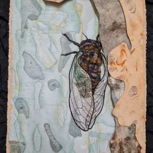 Cicada #2 by Julie-Anne Rogers
