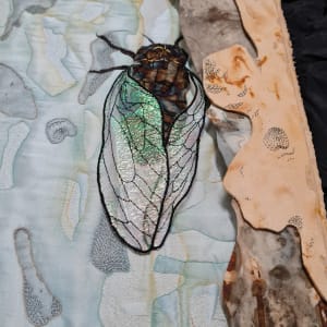 Cicada #2 by Julie-Anne Rogers  Image: Detail