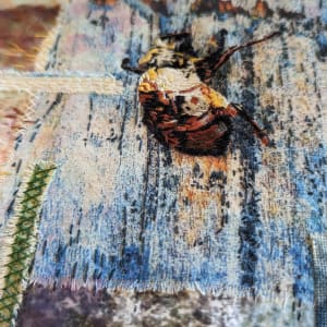Cicada 3 by Julie-Anne Rogers  Image: Detail