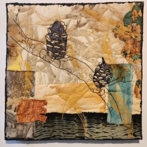 Regeneration - Banksia by Julie-Anne Rogers