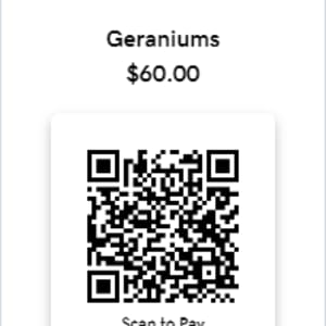 Geraniums by J. Patrick Bowman  Image: To purchase, use QR code or pay link below