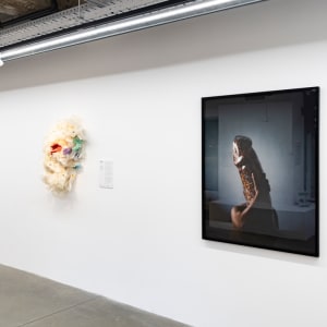 NATURA MORTRA SOTA LES ESTRELLES­ -  Ay Maricón! by danimarti 