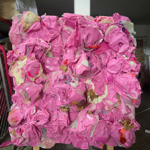 Rosa Feixuga  - QUEER BODIES, (take 2) by danimarti 