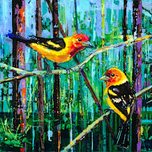 Wenatchee Tanagers by Shannon Abbey