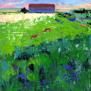 Petaluma Barn #2 by Shannon Abbey