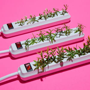 Botanical Currents by Lenny Gerard, Image 1.