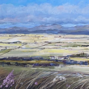 Spring Fields Gargunnock by Allison Young