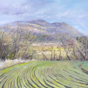 Dumyat from Stirling Carse (Spring Fields) by Allison Young