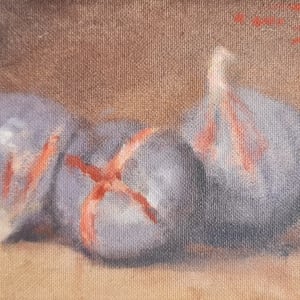 3 Figs by Duggie Du Toit