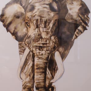 Elephant by Lize Huisamen