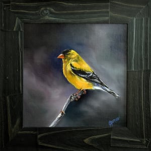 American Goldfinch by Bobbe Jones  Image: Frame Front