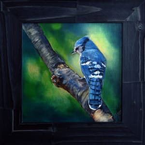 Blue Jay by Bobbe Jones 