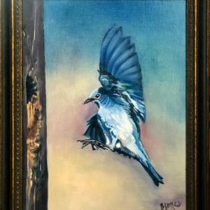 Bluebird Nest by Bobbe Jones  Image: Frame