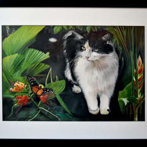 Costa Rica Cat by Bobbe Jones 