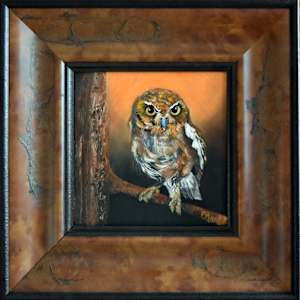 Elf Owl Gaze by Bobbe Jones  Image: Frame