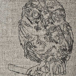 Elf Owl Gaze by Bobbe Jones  Image: Original Drawing
