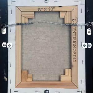 Flicker by Bobbe Jones  Image: Frame Back