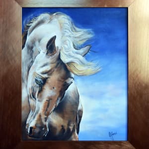 Freedom by Bobbe Jones  Image: Frame - Sold