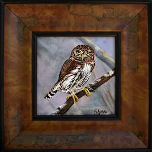 Northern Pygmy-Owl by Bobbe Jones  Image: Framed
