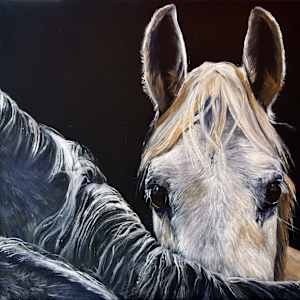 Shades of Gray by Bobbe Jones