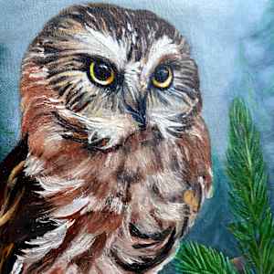 Whimsical Watcher, Northern Saw-whet Owl by Bobbe Jones  Image: close-up