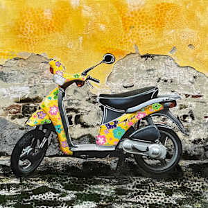 Italian Ride by Terri Sierra