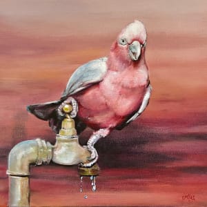 Galah Finding Water by Catherine Miles, Image 3.