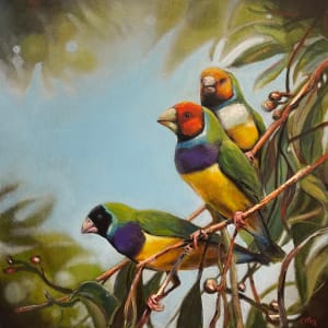Gouldian Finches by Catherine Miles