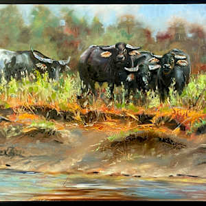 Buffalo by Catherine Miles