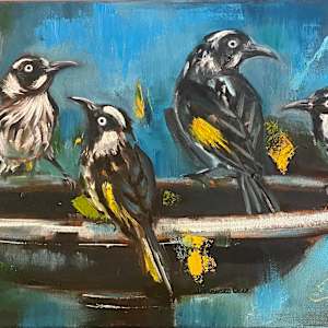 Honey Eater Antics by Catherine Miles