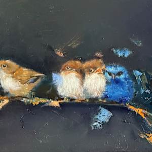 The Wren Family by Catherine Miles