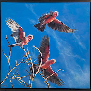 Galahs In Flight by Catherine Miles, Image 24.