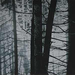 Connecting Lines by LCole